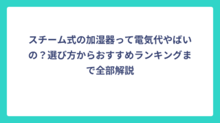 スチーム式の加湿器って電気代やばいの？選び方からおすすめランキングまで全部解説